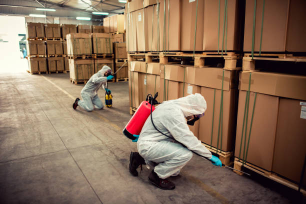 Best Pest Inspection Near Me  in Endicott, NY