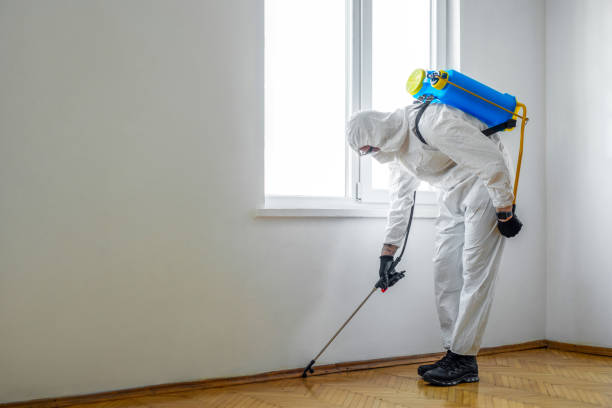 Best Local Pest Control Services  in Endicott, NY