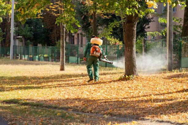 Best Wasp Removal Services  in Endicott, NY