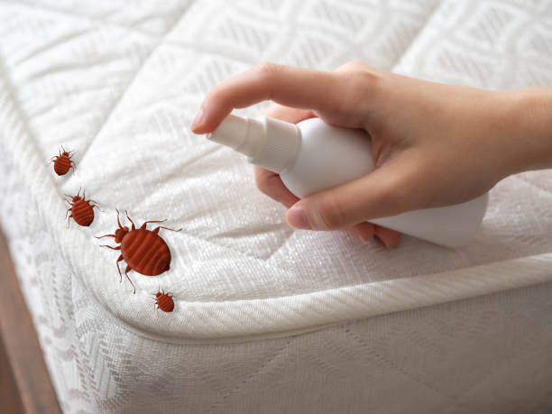 Best Residential Pest Control  in Endicott, NY