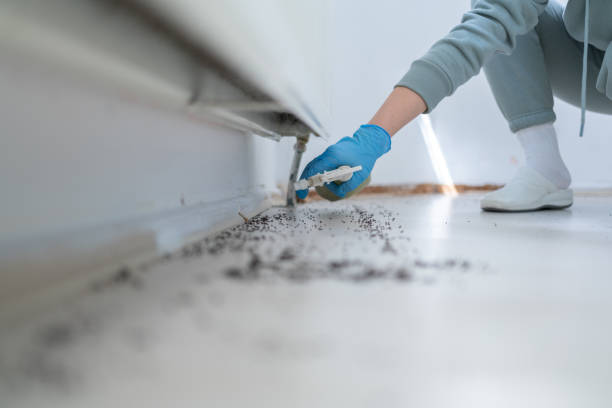 Best Mosquito Control Services  in Endicott, NY
